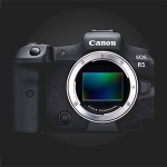 Canon R5/R6, new gear testing impressions