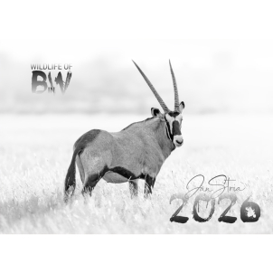 2026 Wildlife BW