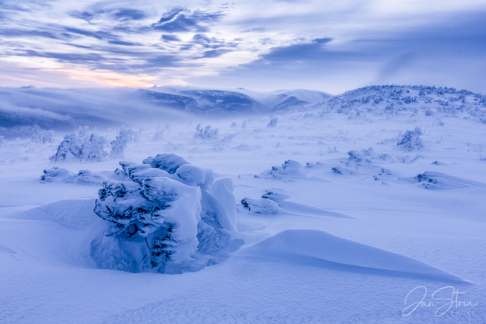 Cold Morning