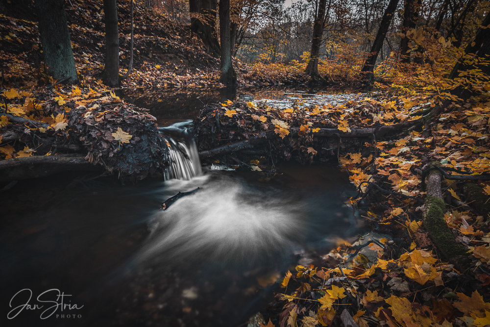 Gloomy Autumn