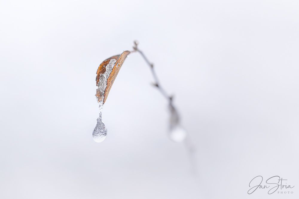 Touch of Winter