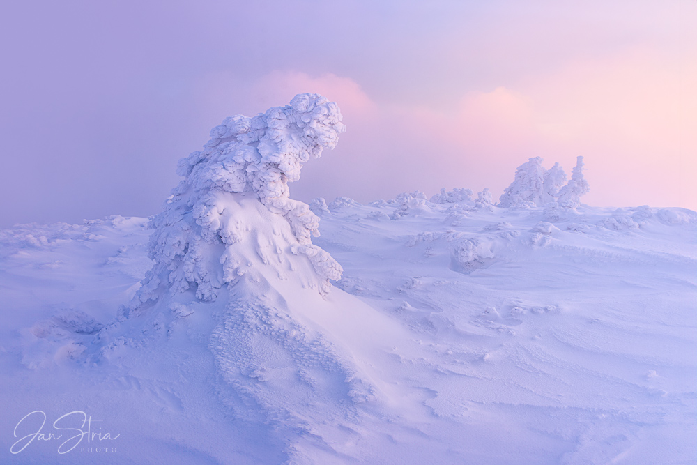 Mountain Serenity