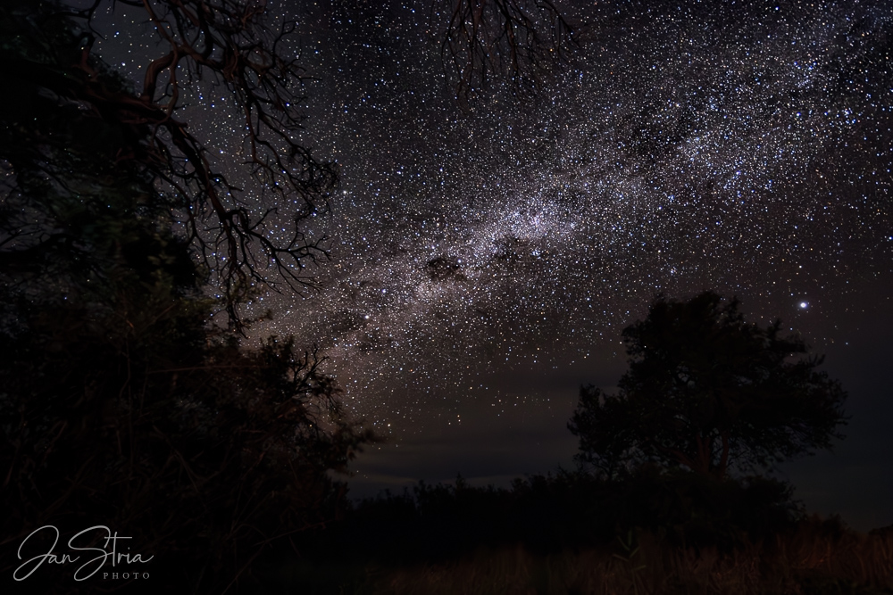 Starry African skies