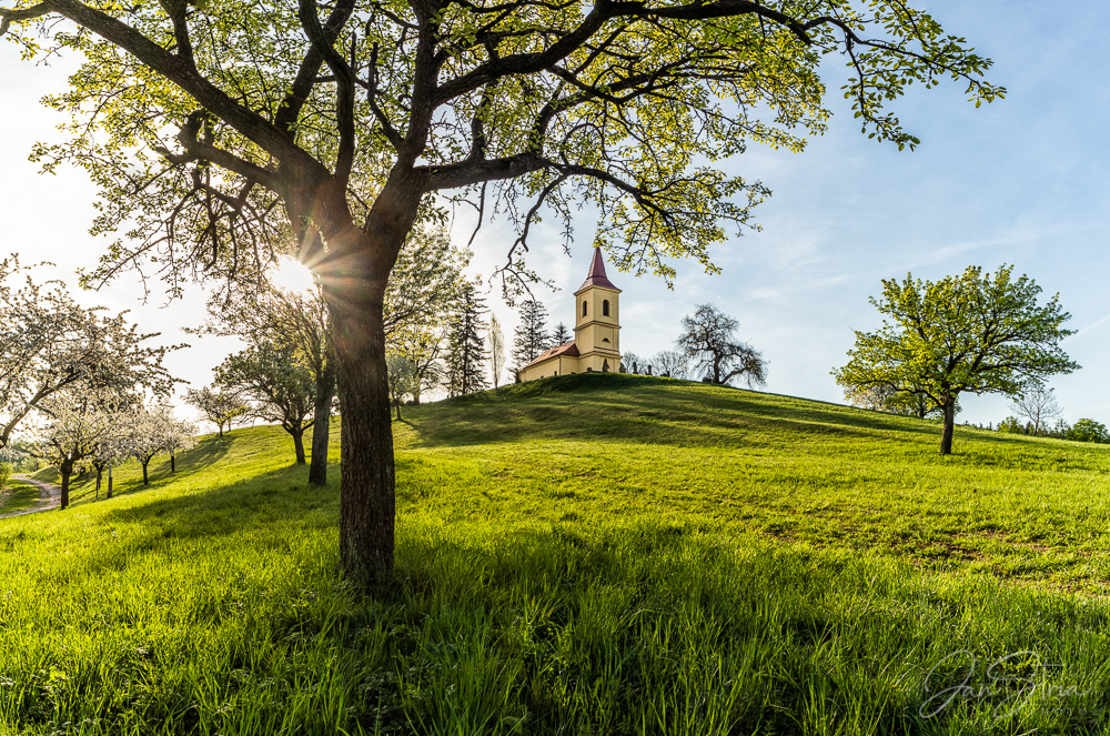 Spring Morning