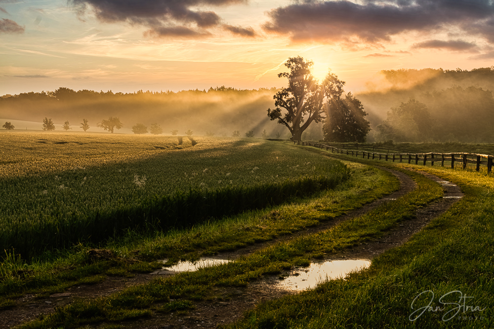 Spring Morning