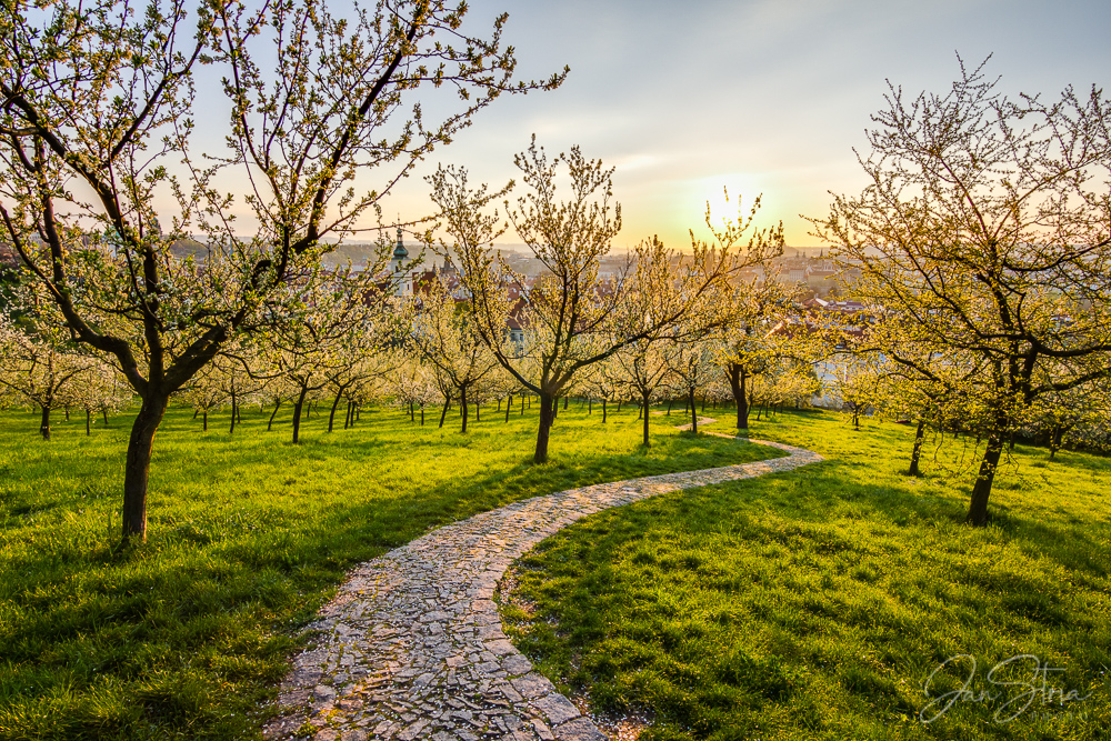 Spring in Prague
