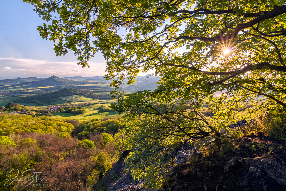 Spring in Middle Earth