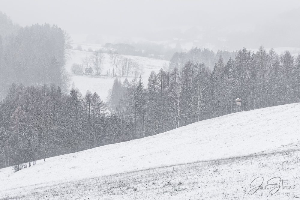 When Winter is not Giving Up