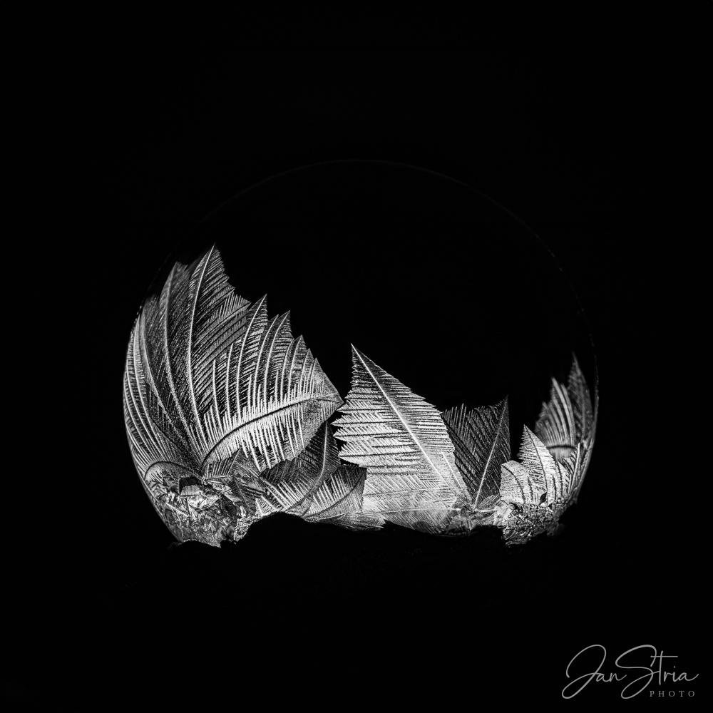 Magical Winter Art