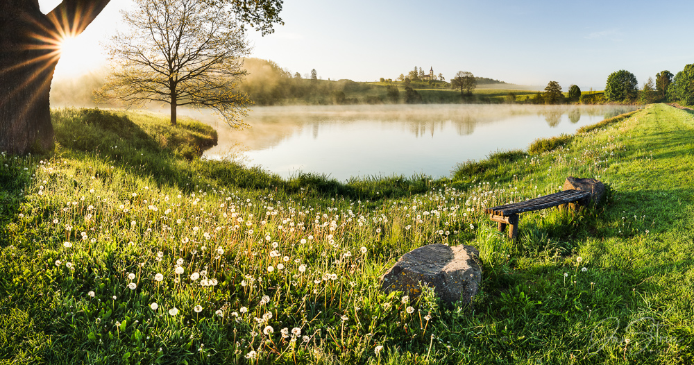 Spring Magic