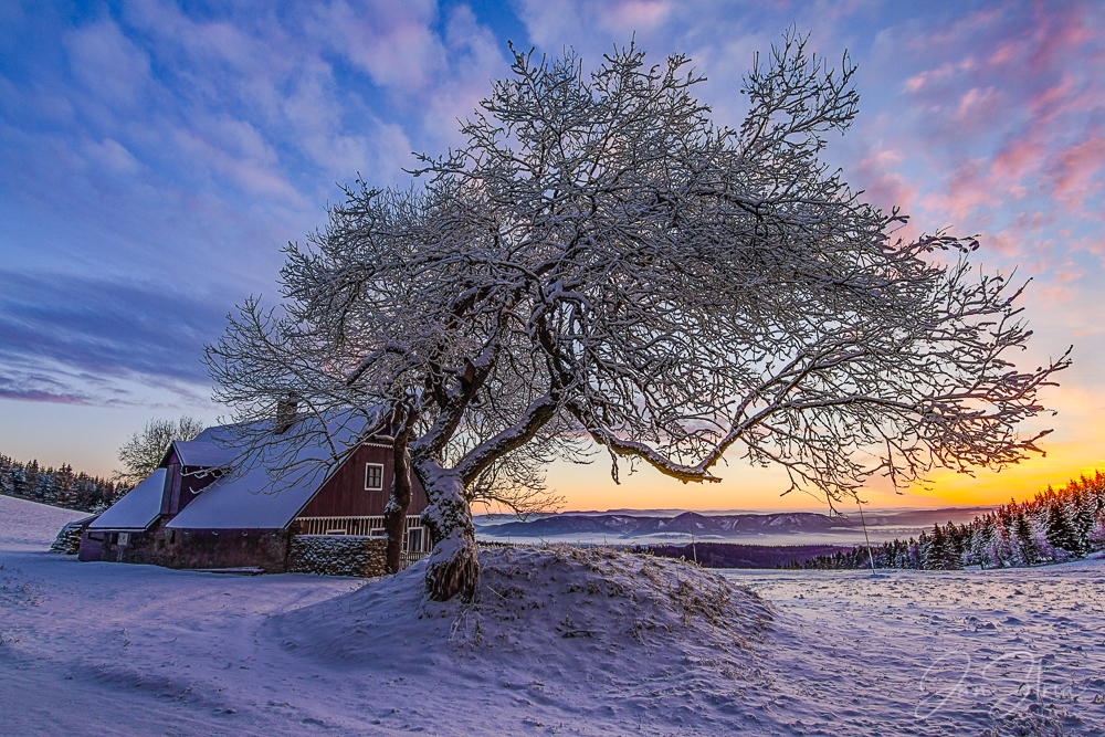 Sunrise in Krkonoše