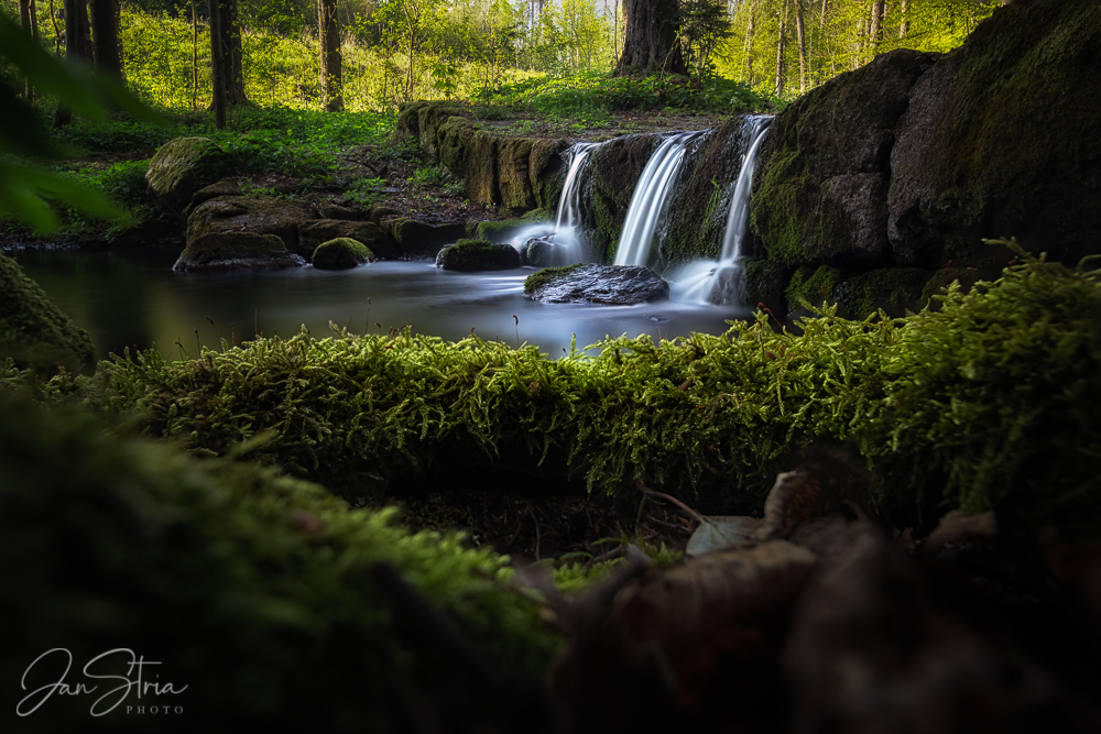 Forest Creek