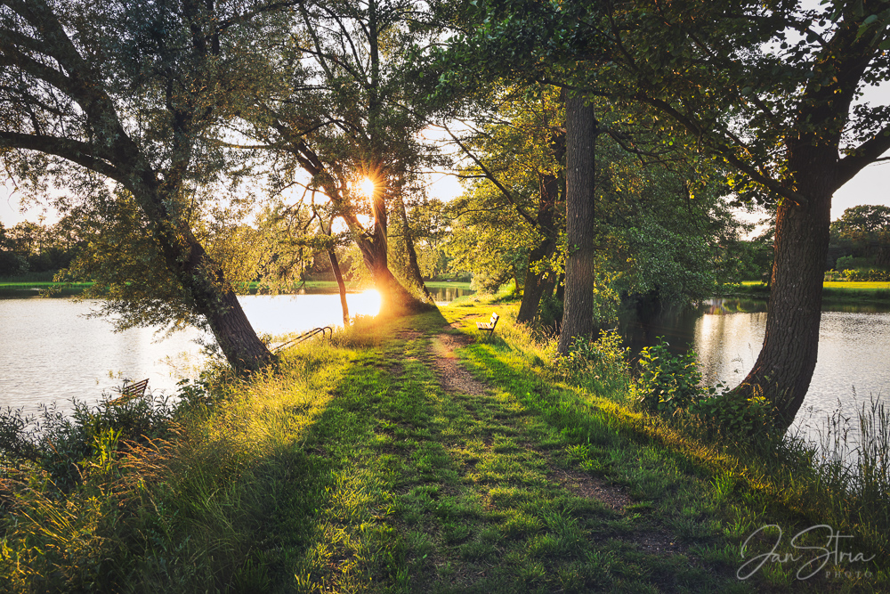 Summer Evening