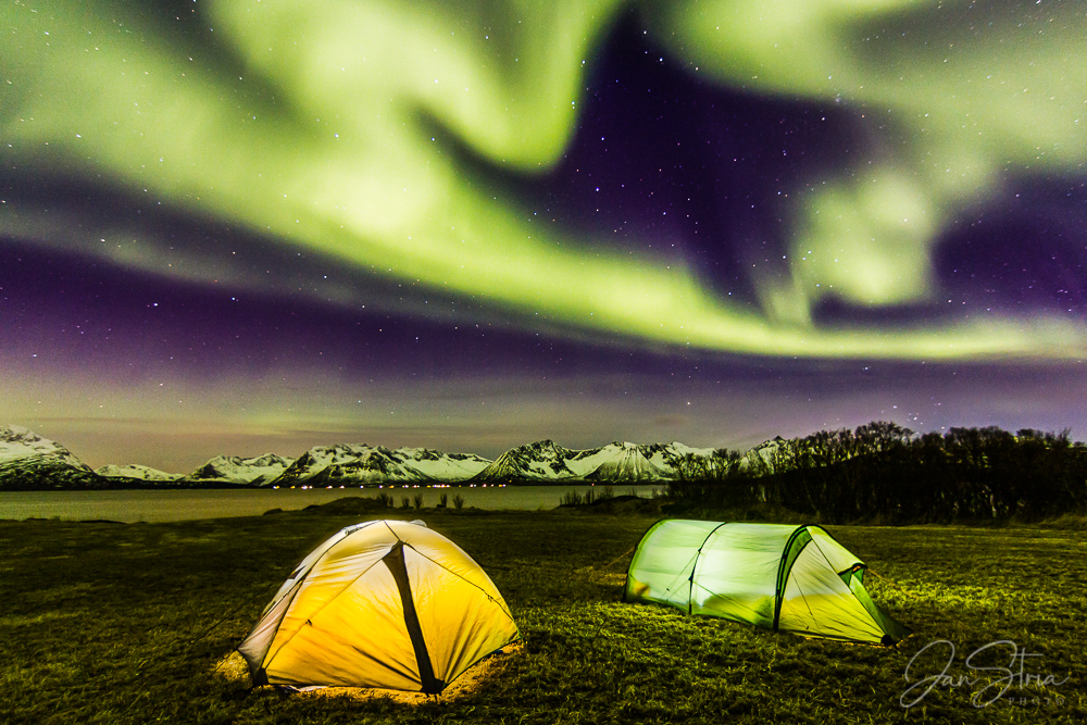 Magical Night