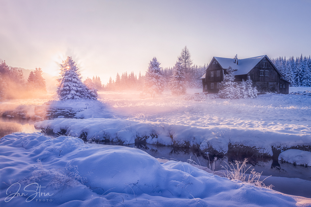 Frosty Dawn
