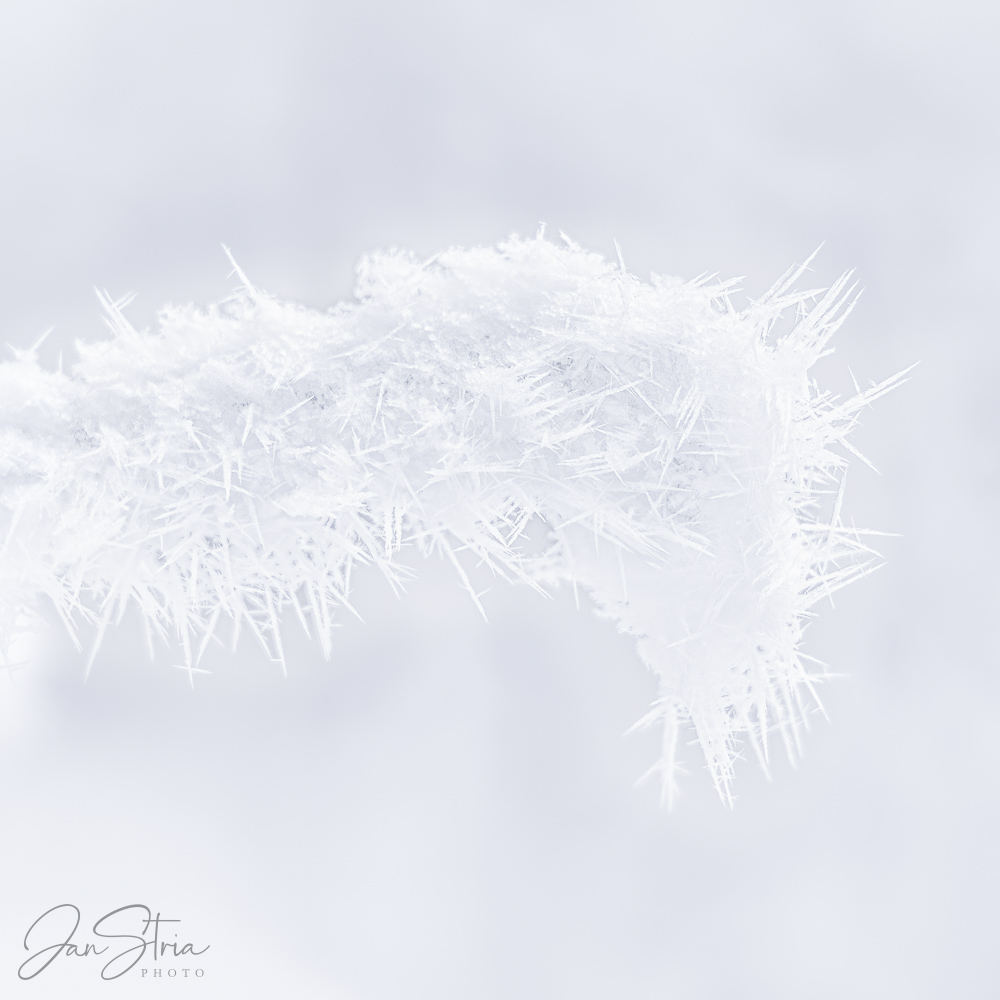 Frosty Detail