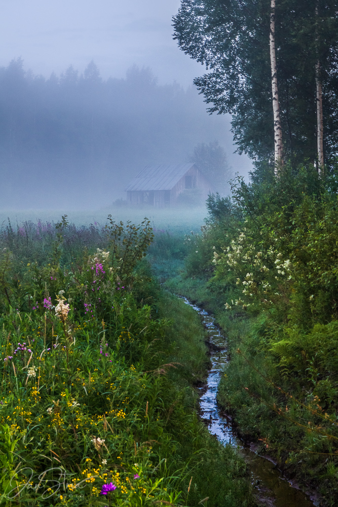Moody morning