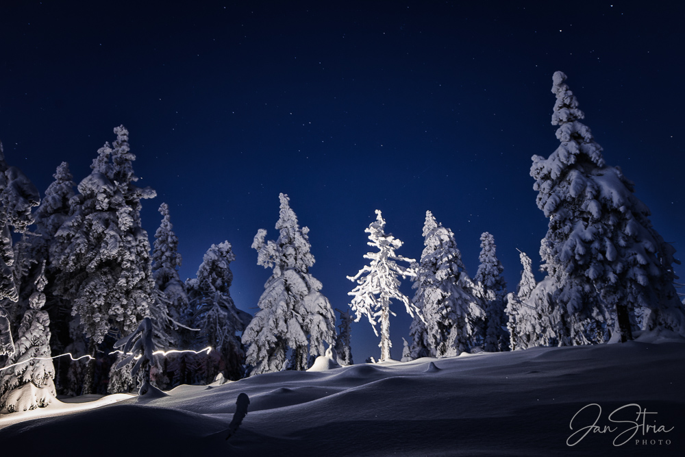 Night Adventure