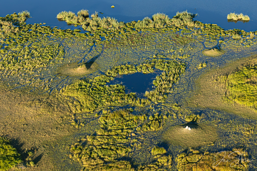 Okawango delta