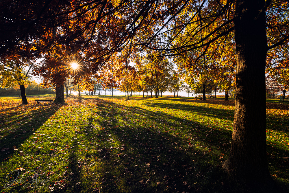 Autumn by a Lake