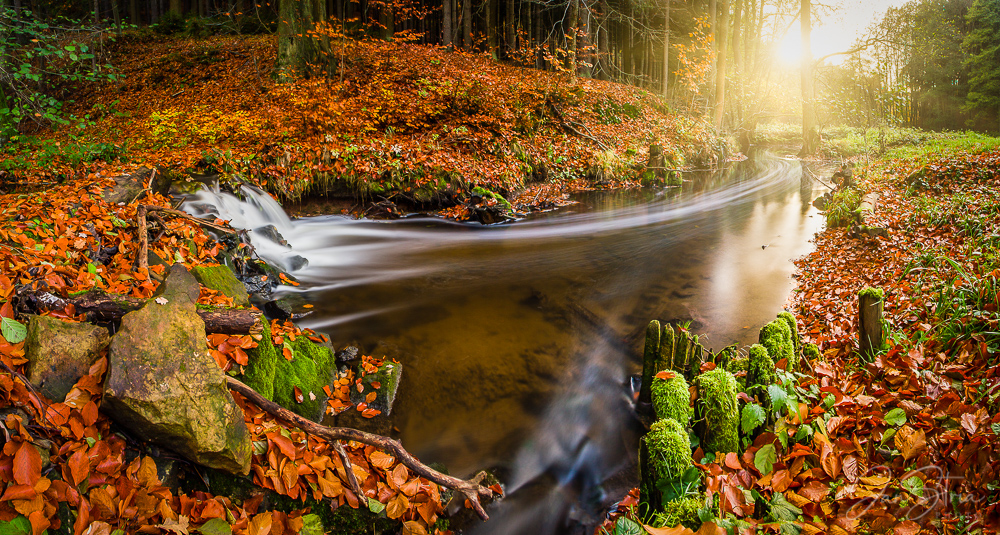 Autumn by a River