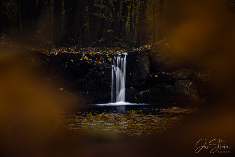 Autumn in the forrest