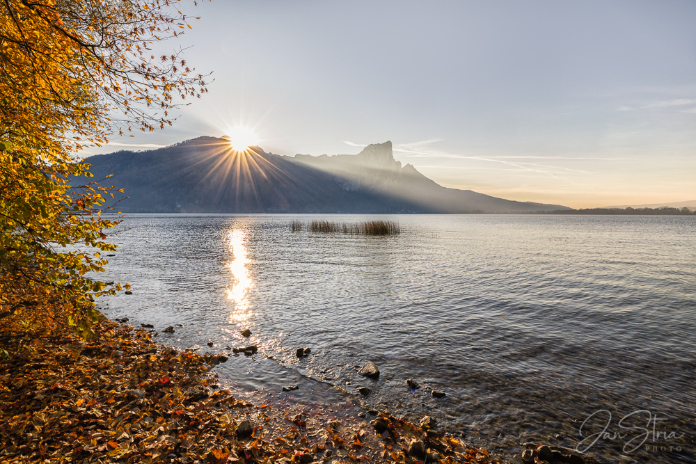 Autumn Rays