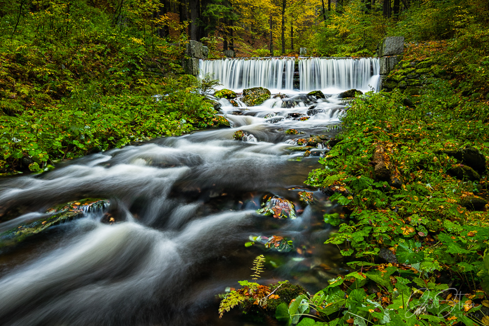 Autumn flow