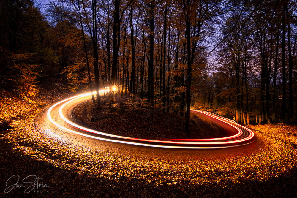 Autumn Lights