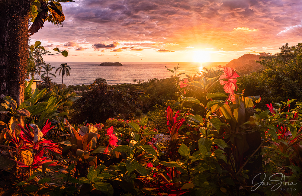 Paradise