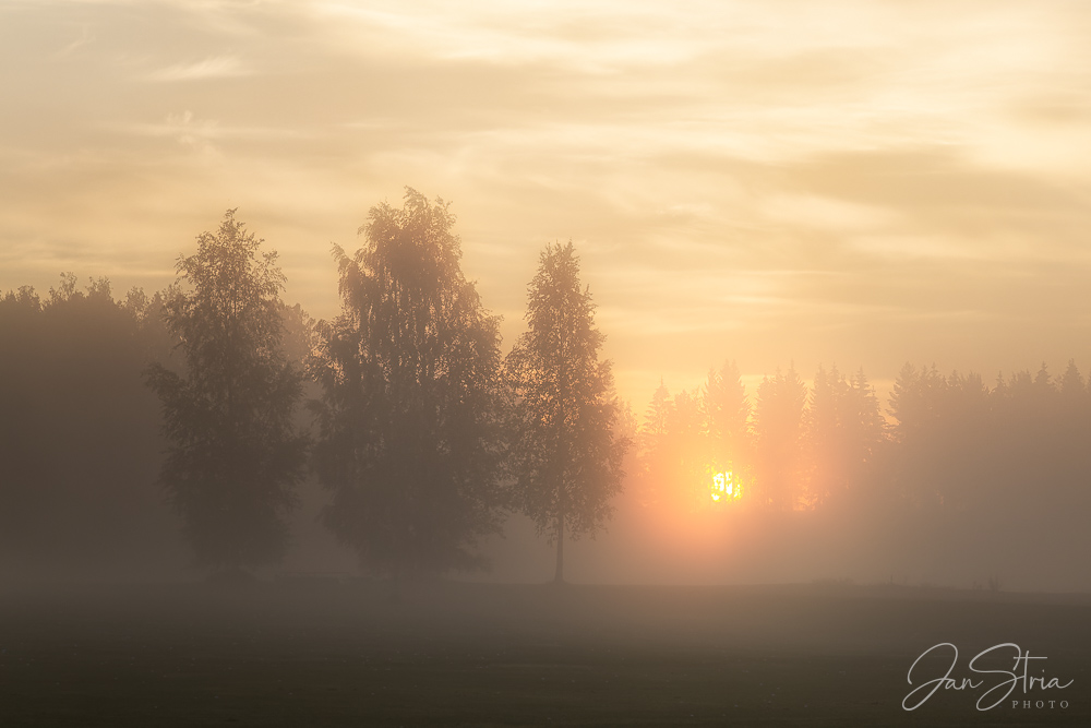 Morning Dreaming