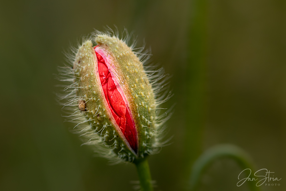 Unfolding