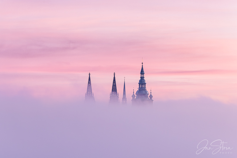 Hide and Seek in morning fog