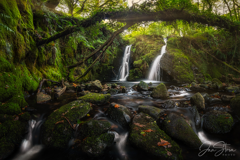 Hidden World