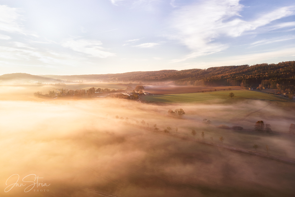 Sunlit Morning