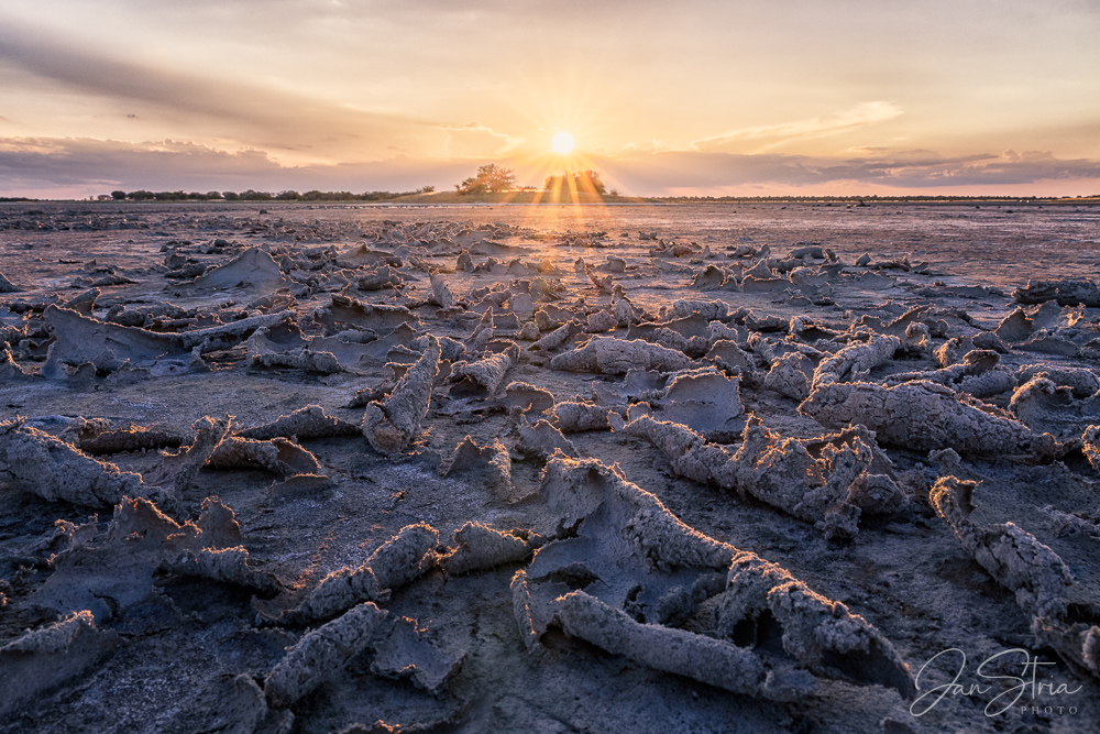 Nxai Pan National Park salt plains