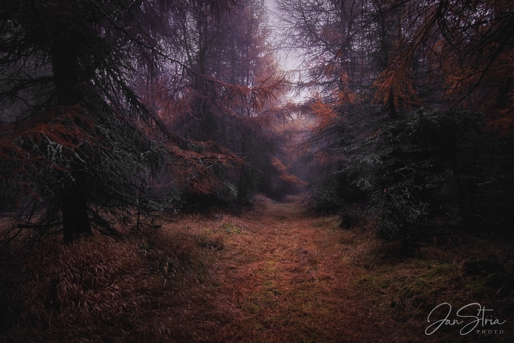Eerie calm