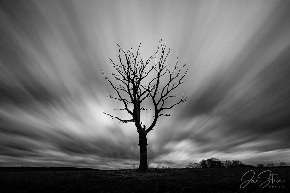 Dry and Lonely