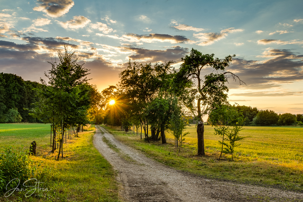Rural peace