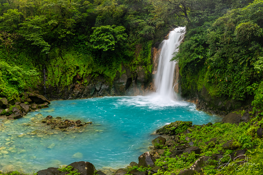 Rainforest Waterfall