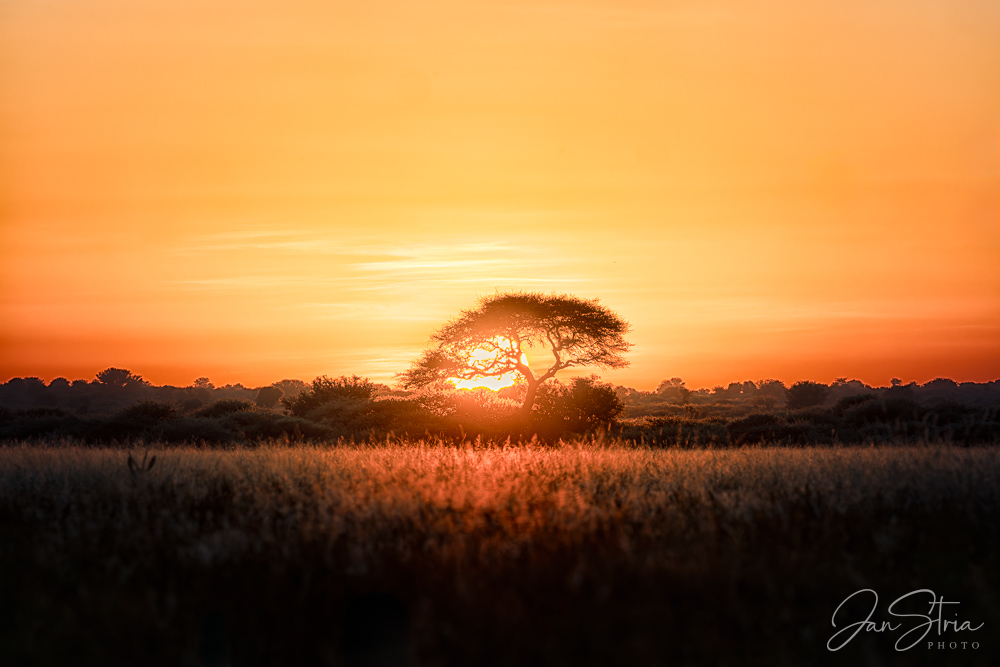 A new day begins in the desert