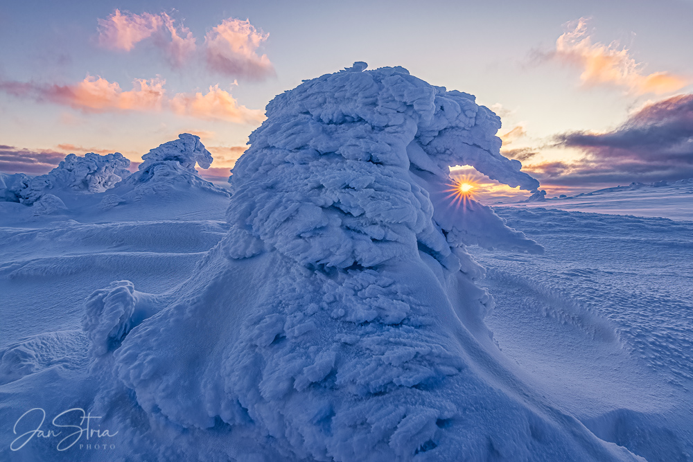 Winter Giants
