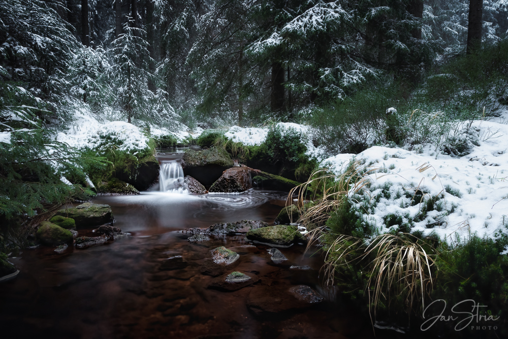 Winter Stream
