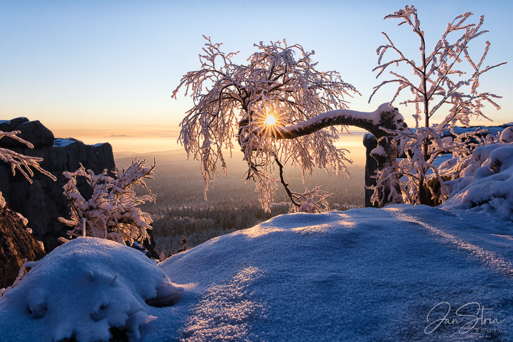 Winter Morning