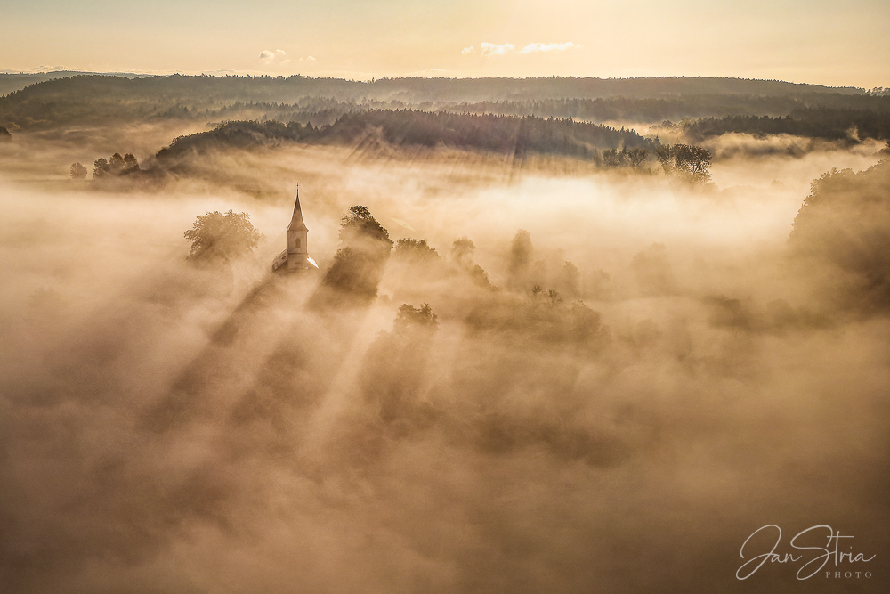 Golden Morning