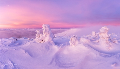 White Symphony