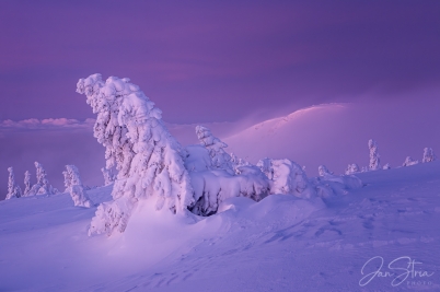 Mountain Magic