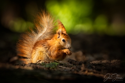 Spring Snack