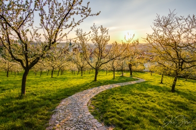 Spring in Prague