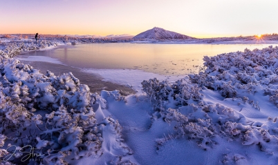 Magic of Winter